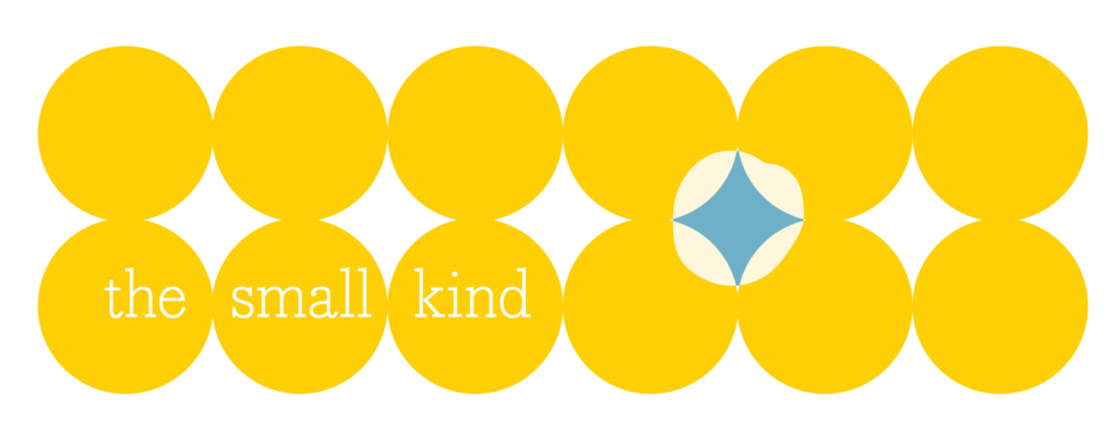 the small kind studio logo